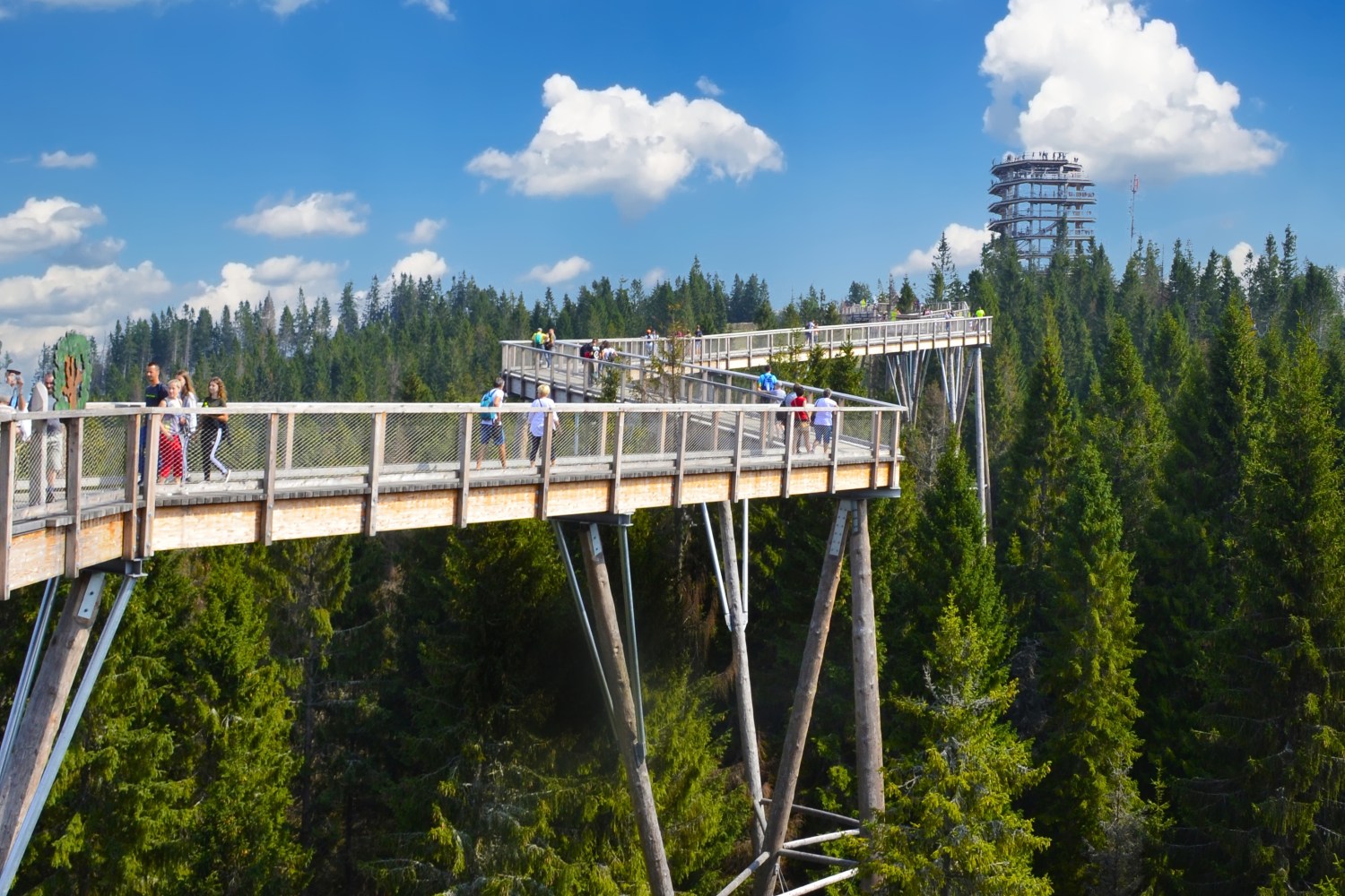Treetop walk Bachledka
