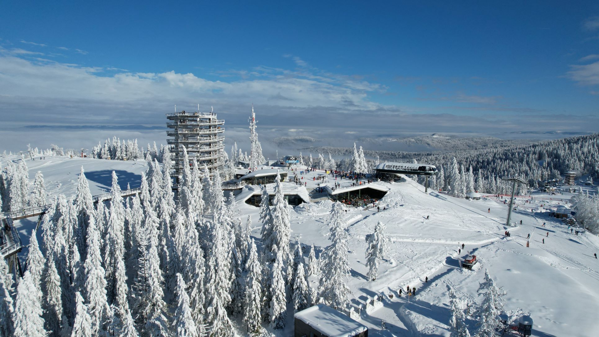 Treetop walk Bachledka